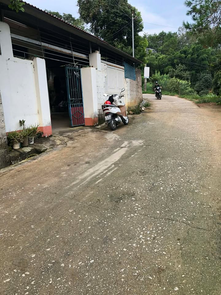 Nhà cấp 4 phường Tam Thanh 150m² giá 1 tỷ - Chính chủ bán gấp!