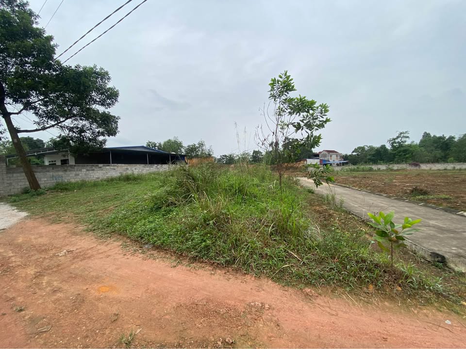 Đất nền đồi Thịnh Đán 100m² giá 1 tỷ - Hướng Đông, xây dựng dễ dàng!