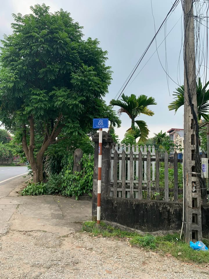 Đất thổ cư Ngõ 5 Tân Cương 134m² giá 850 triệu - Đầu tư sinh lời ngay!