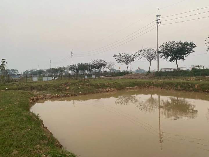 Đất VAC xã Dị Nậu, Thạch Thất 2000m² - Cơ hội đầu tư hấp dẫn!