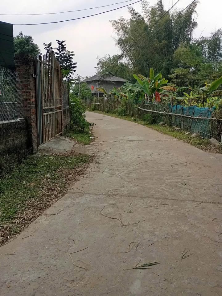 Đất nền thổ cư xã Nghĩa Lợi 400m² giá 600 triệu - Cơ hội đầu tư hấp dẫn!