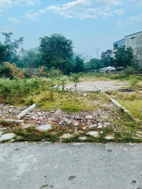 Đất nền Trường Thi, Nam Định 45.4m² giá 1.3 tỷ - Đầu tư sinh lời ngay!