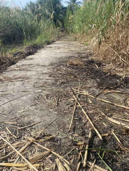 Đất nền Phước Thới Ô Môn 158m² giá chỉ 200 triệu - Đầu tư sinh lời ngay!