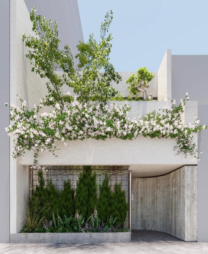 Nhà mặt tiền Lê Cơ, Hải Châu 117m² giá 15 triệu - Kinh doanh thuận lợi!