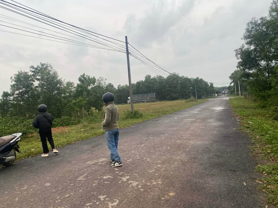 Đất nền Triệu Thượng 192m² giá 650 triệu - Đầu tư sinh lời ngay!