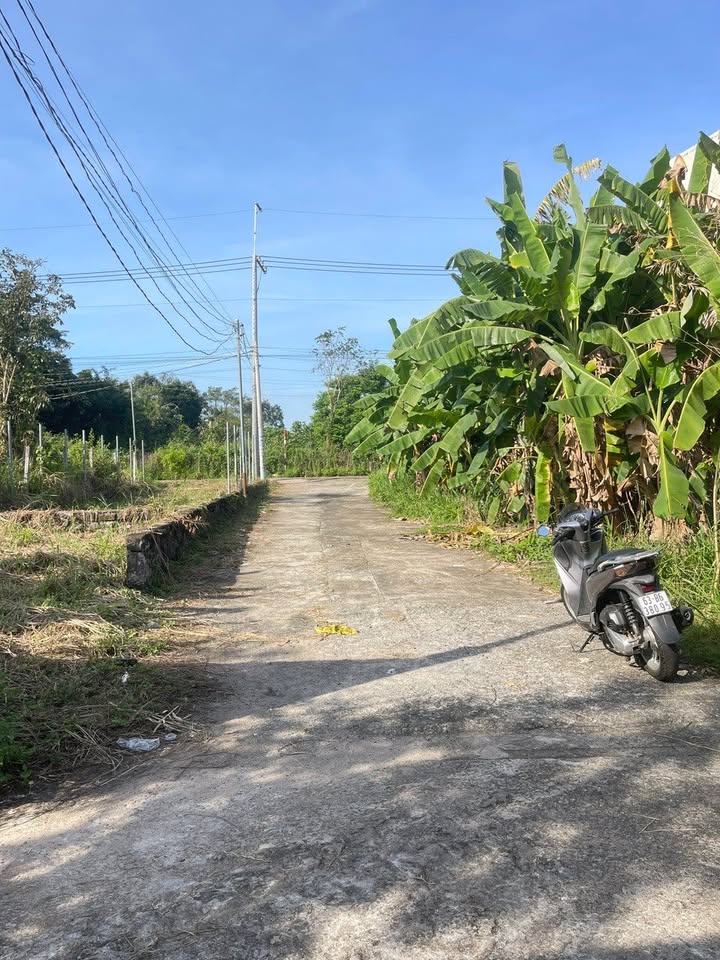 Đất thổ cư mặt tiền đường Điểu Xiển 110m² giá 9 triệu - Sổ đỏ chính chủ