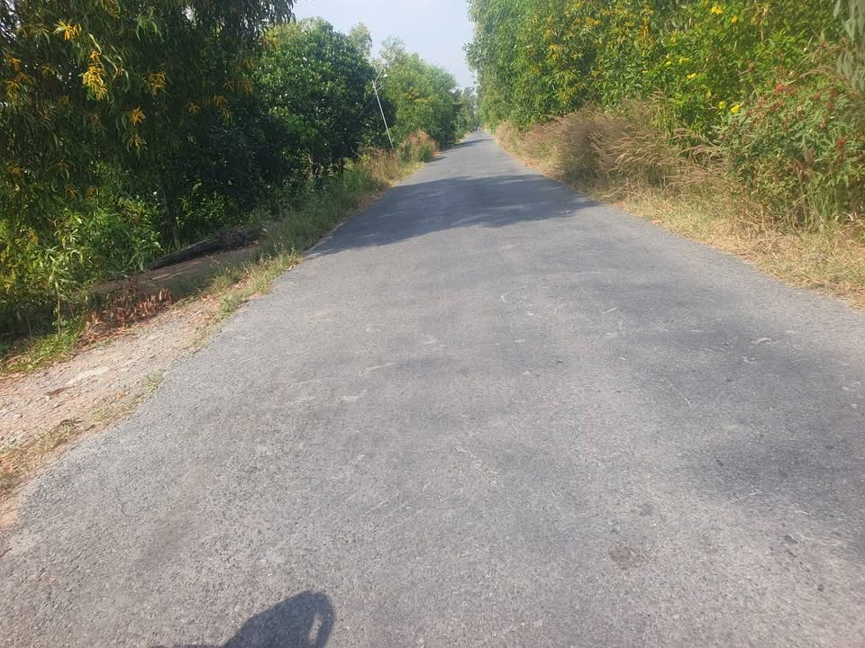 Đất nền Tân Phước 29.000m² giá 7.562 tỷ - Cơ hội đầu tư hấp dẫn!