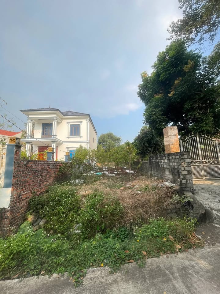 Đất nền mặt tiền 6m tại Trung Sơn, Việt Yên 150m² - Giá thương lượng hấp dẫn!