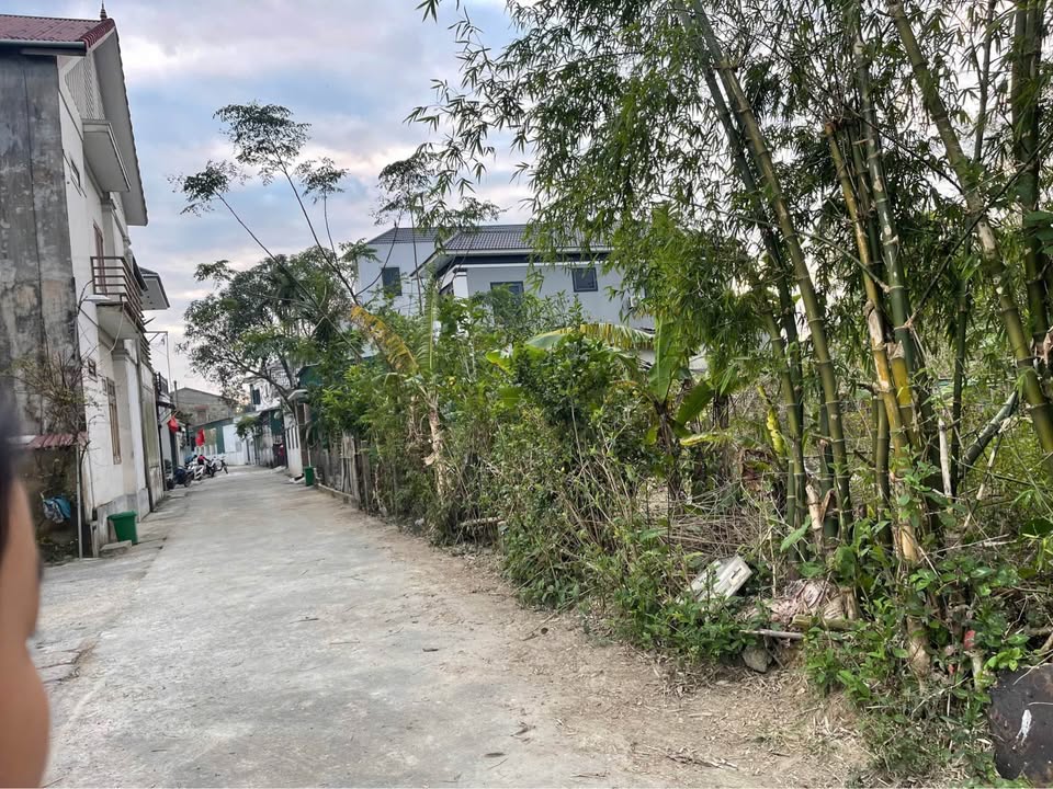 Đất biệt thự Thạch Quý 304.7m² giá 5 tỷ - Đầu tư sinh lời ngay!