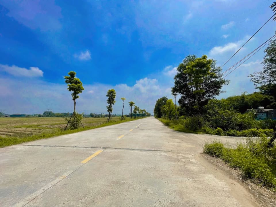 Đất nền mặt đường Nguyễn Xí Thạch Xuân 152m² giá 1.15 tỷ - Cơ hội đầu tư hiếm có!