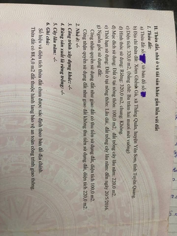 Đất nền 320m² phường Minh Xuân Tuyên Quang - Đầu tư sinh lời ngay!