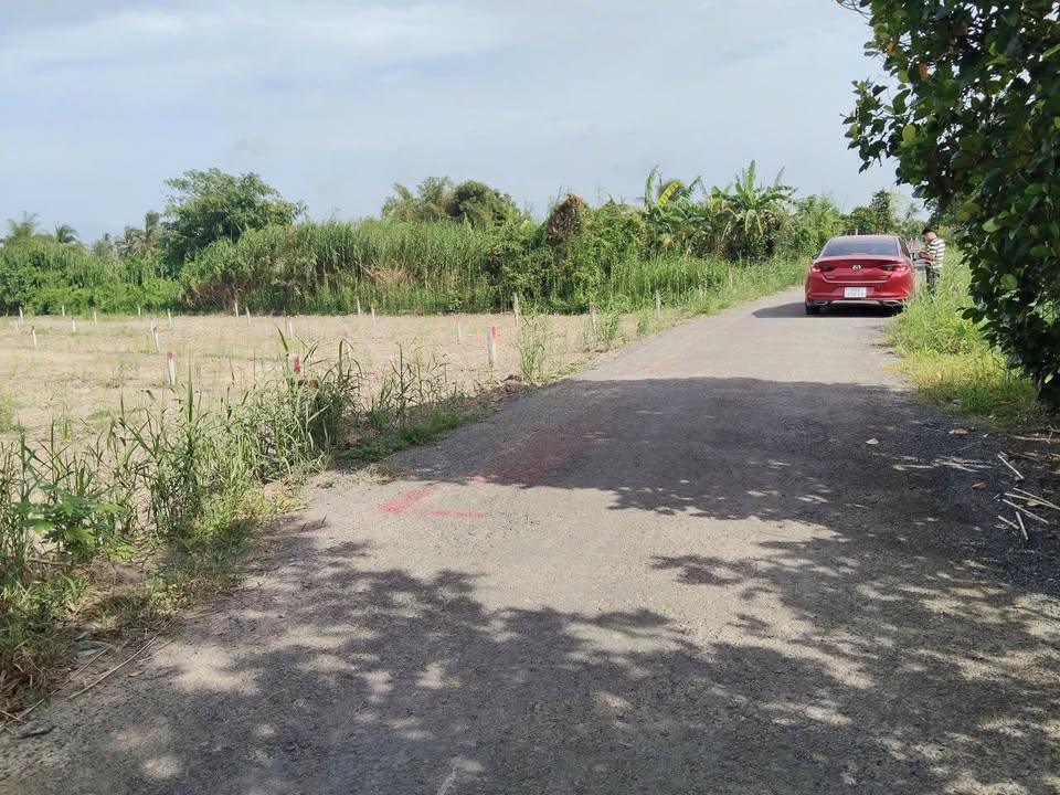 Đất nền 1537m² xã Mỹ Thuận, Vĩnh Long giá 800 triệu - Đầu tư sinh lời ngay!