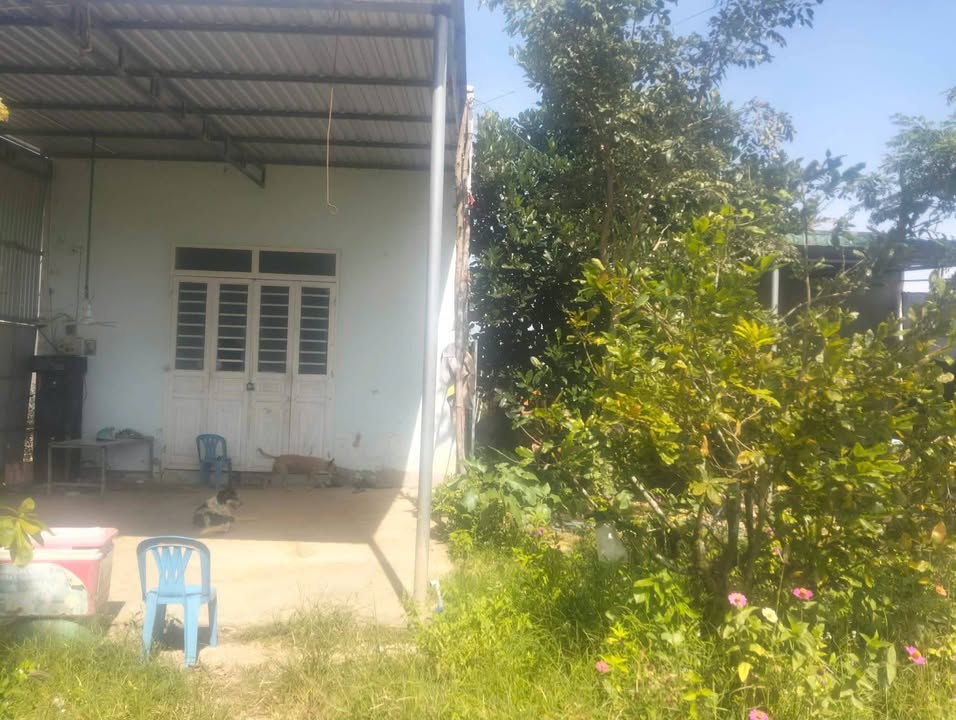 Đất nền Tân Lập, Hàm Thuận Nam 1000m² giá 458 triệu - Sổ đẹp vuông vức!