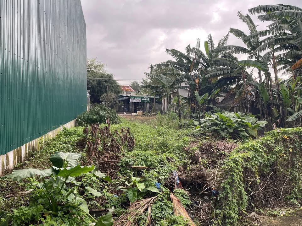 Đất Nghĩa Thương 160m² giá thỏa thuận - Đường bê tông ô tô vào tận nơi!