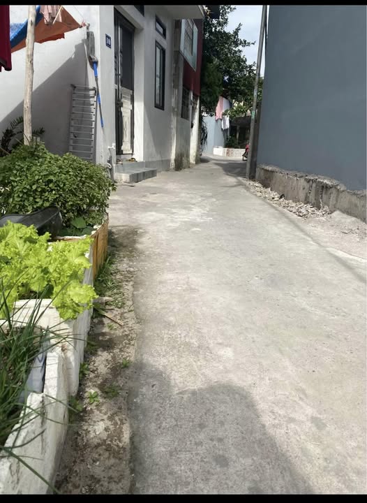 Đất nền Bạch Mai, Đồng Thái, An Dương 53m² giá 1.3 tỷ - Sổ hồng chính chủ!