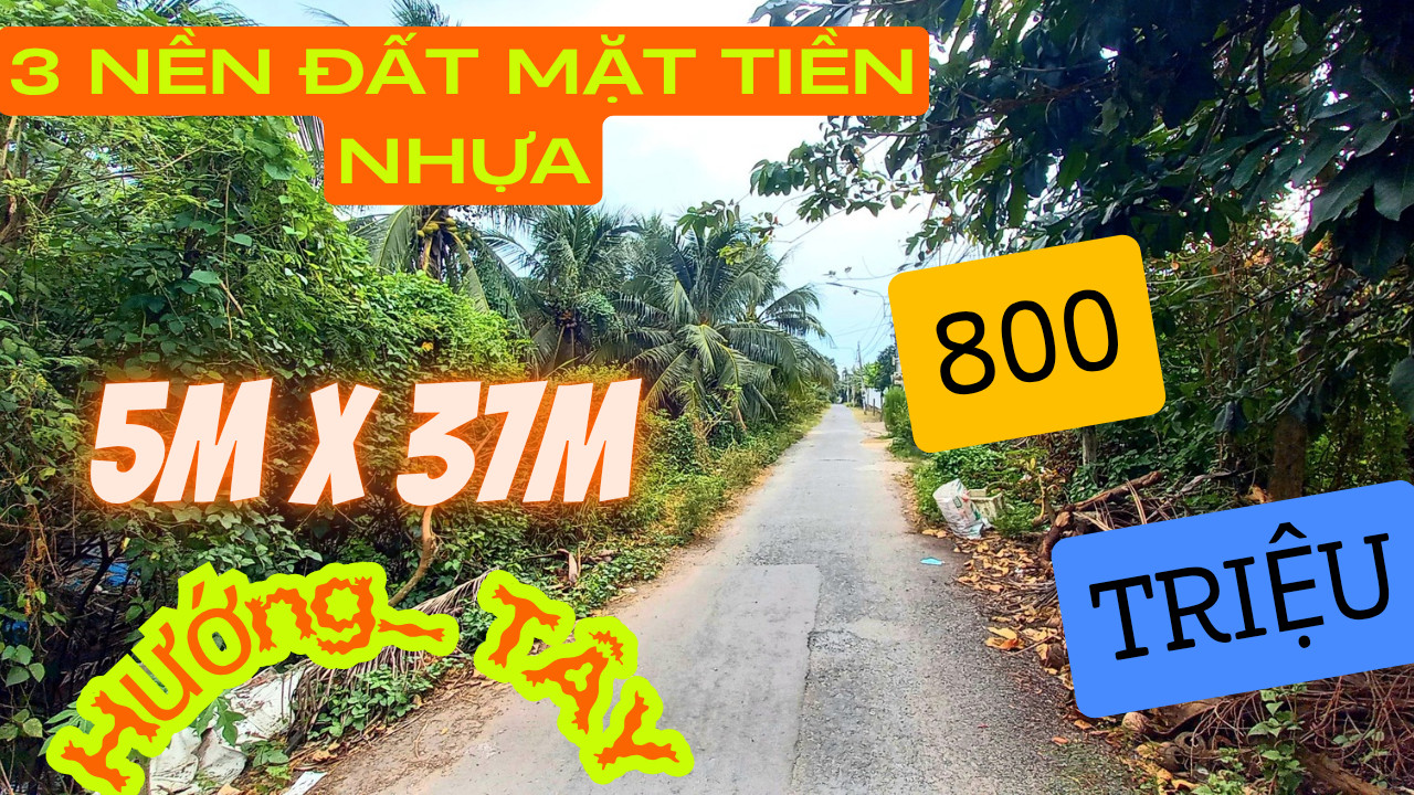 Đất nền mặt tiền đường nhựa 185m² tại Ấp Tân Tỉnh B chỉ 800 triệu - Cơ hội đầu tư tuyệt vời!