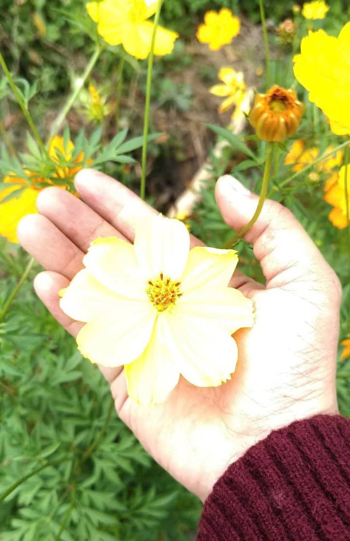 Đất nền Đạo Thạnh Mỹ Tho 197.5m² giá 1.15 tỷ - Sổ đỏ chính chủ, thích hợp xây nhà ở