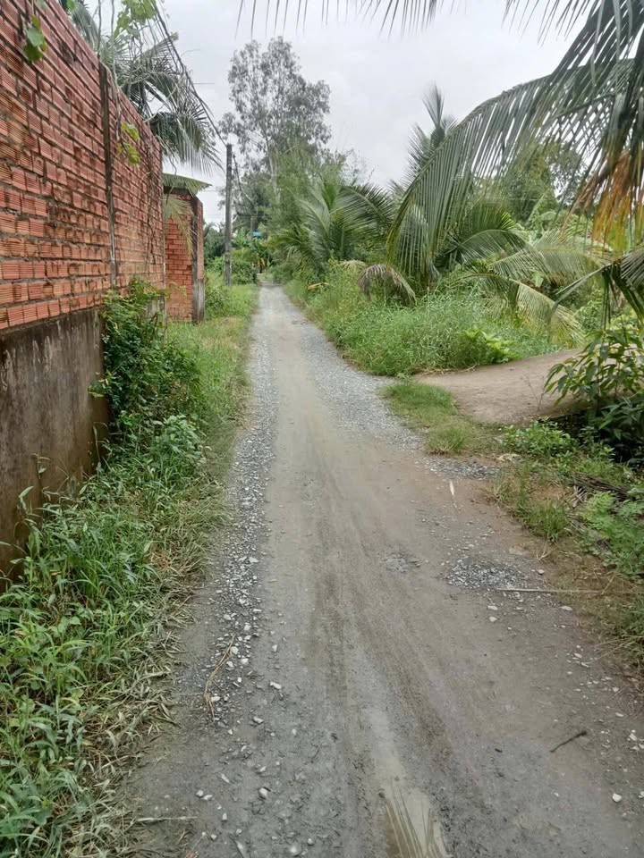 Nhà vườn Tân Hương, Châu Thành 624m² giá 2.4 tỷ - Không gian sống lý tưởng!