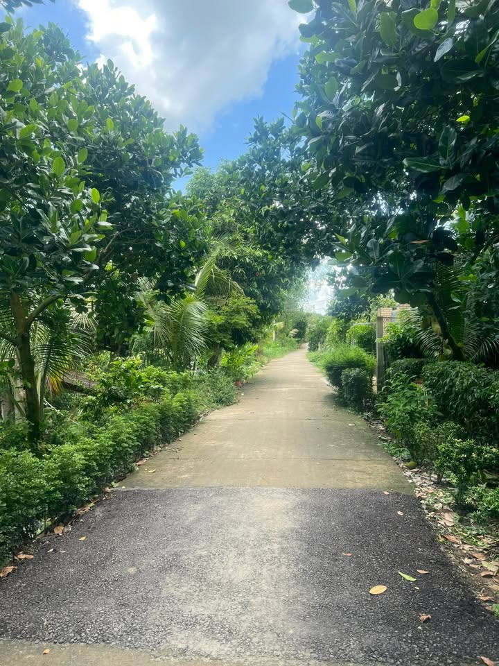 Đất nền mặt tiền Ấp Láng Biển, xã Mỹ Phước Tây, 450m² - Giá chỉ 500 triệu!