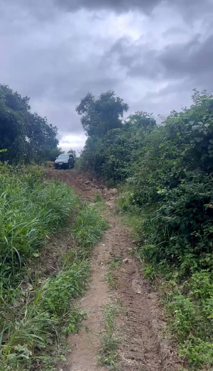 Farm Suối Hiệp 6ha giá 6.5 tỷ - Đường ô tô tận nơi, thu nhập ổn định!