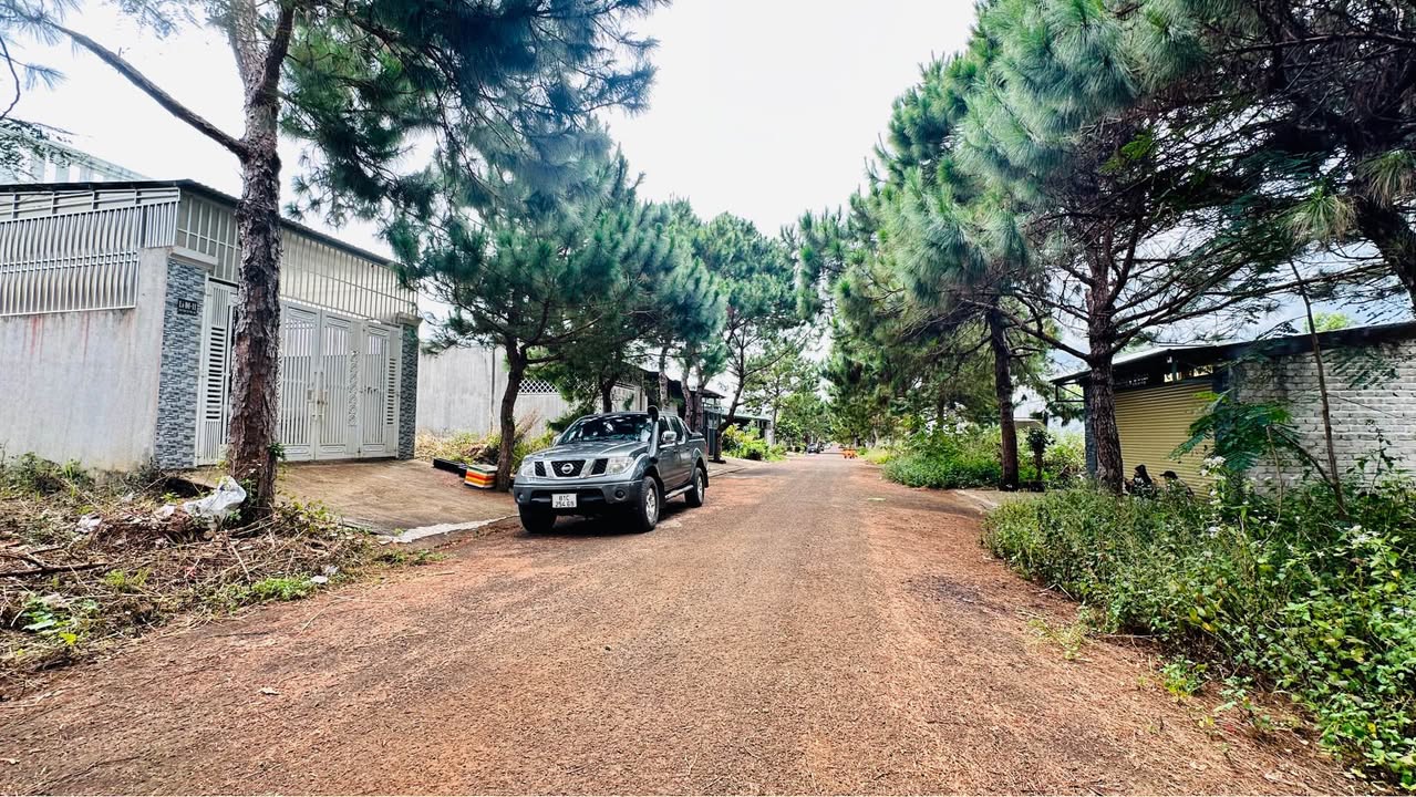 Đất nền Phú An, Diên Hồng, Gia Lai 150m² giá chỉ 700 triệu - Khu dân cư hiện hữu!