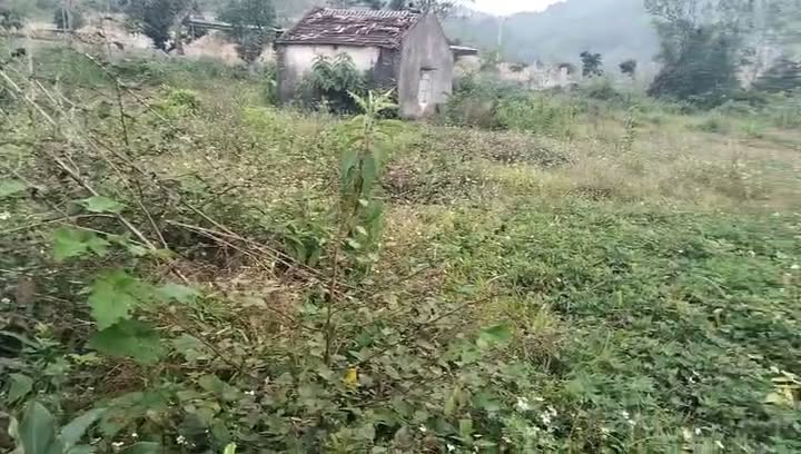 Đất nền Tăng Thành Yên Thành 2900m² - Cơ hội đầu tư tuyệt vời!