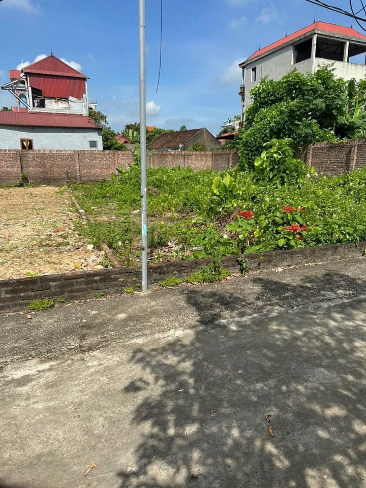 Đất nền tại Thị trấn Thắng 140m² giá 800 triệu - Tiềm năng sinh lời cao!