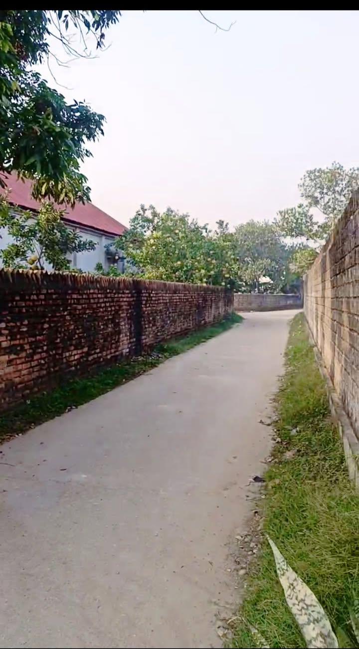 Đất nền Danh Thắng, Hiệp Hòa 221m² giá chỉ 1 tỷ - Đầu tư sinh lời ngay!