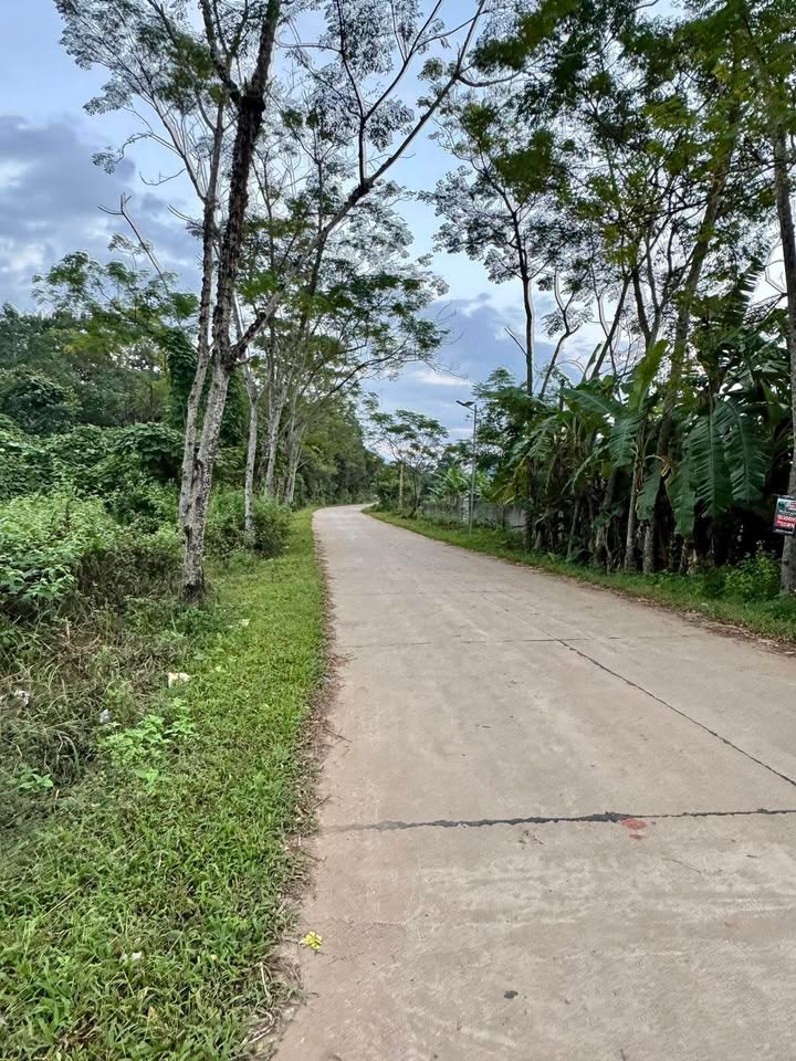 Đất nền xã Phong Quang 705m² giá 600 triệu - Cơ hội đầu tư tuyệt vời!