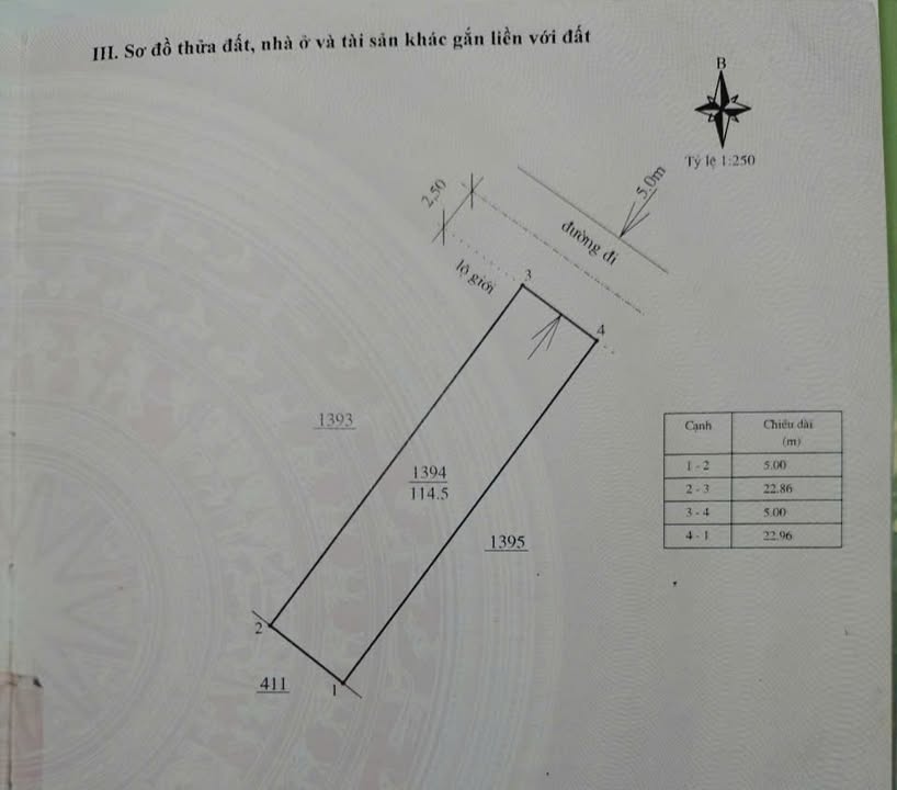 Đất nền Phú Hội, Đức Trọng 115m² giá 900 triệu - Cơ hội đầu tư tốt!