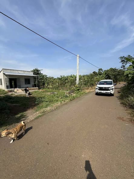 Đất nền Đá Bạc, Châu Đức 7000m² giá 2.66 tỷ - Cơ hội đầu tư hấp dẫn!