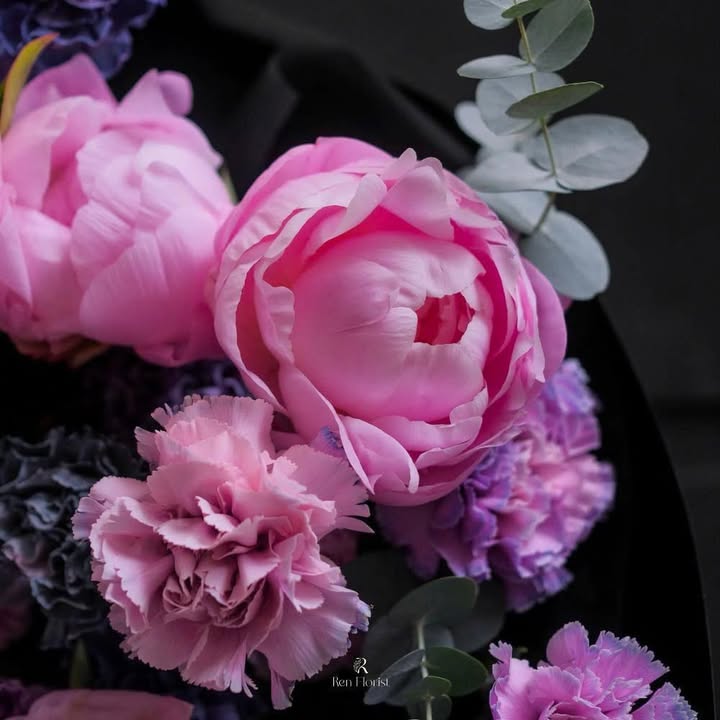 Căn hộ 3 phòng ngủ Thủ Đức - Giá thuê từ 8 triệu - Đầy đủ nội thất