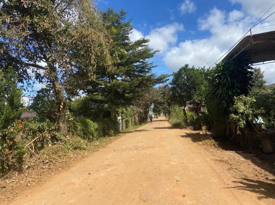 Đất nền xã Quảng Lập 270m² giá chỉ 600 triệu - Mặt tiền đẹp, ô tô vào thoải mái!