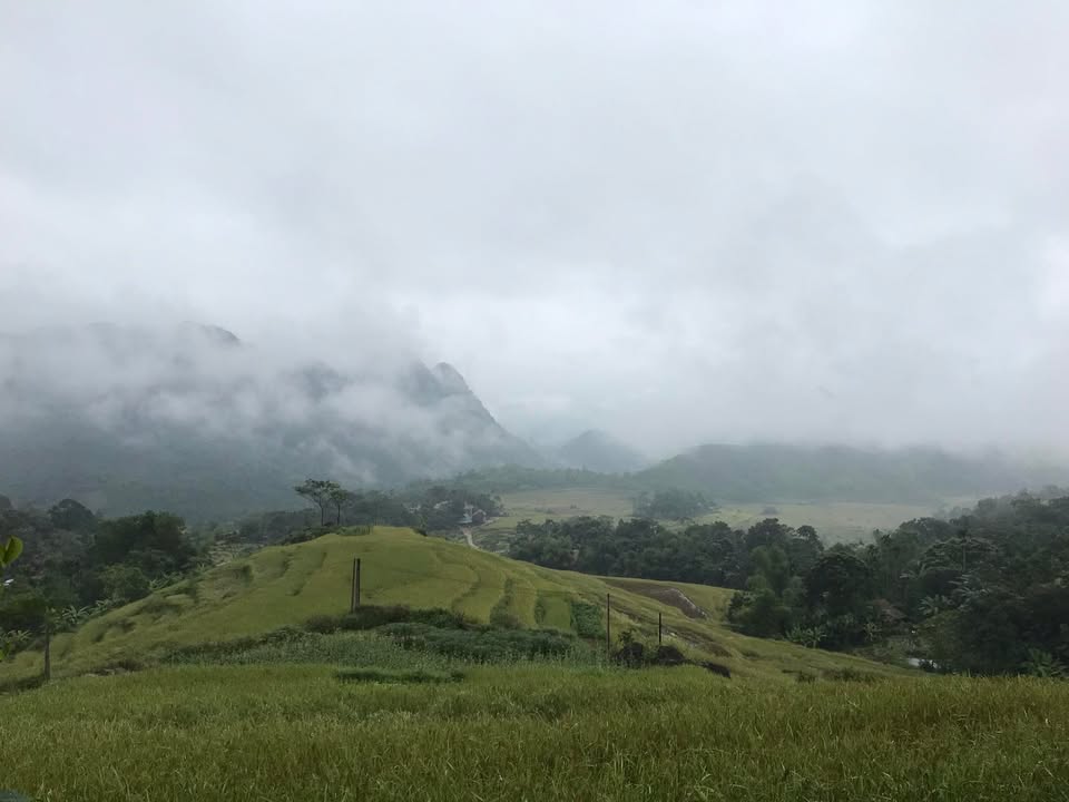 Đất Yên Trung 2000m² - Chính chủ bán, giá thỏa thuận hấp dẫn!