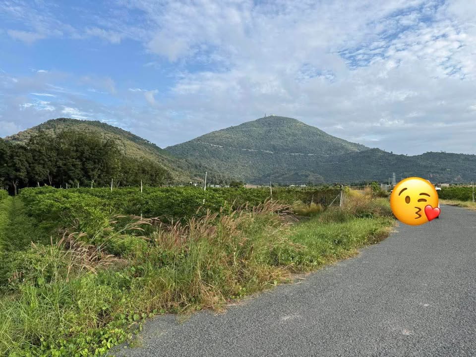 Đất nền Binh Minh, Tây Ninh 1000m² giá 65 tỷ - Vị trí lý tưởng cho homestay!