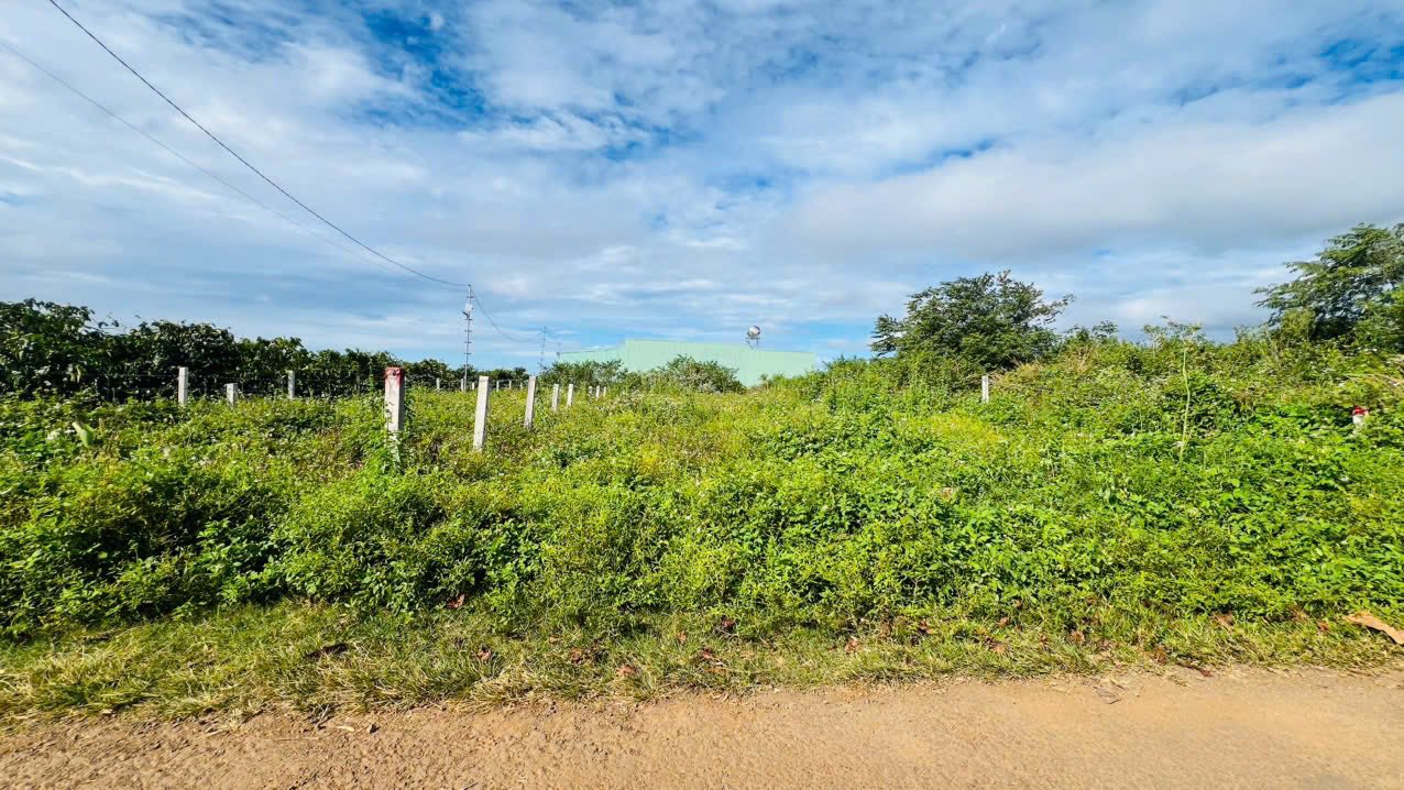 Đất hẻm chính 100 Nguyễn Kiệm, Phường Thống Nhất, Gia Lai 121m² - Sổ hồng đầy đủ, giá tốt!