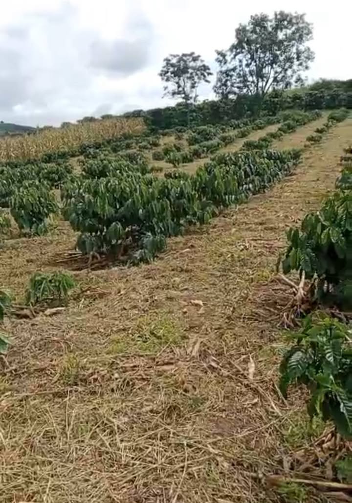 Đất nền Lâm Hà 2ha mặt đường bê tông giá 8.6 tỷ - Cơ hội đầu tư hấp dẫn!