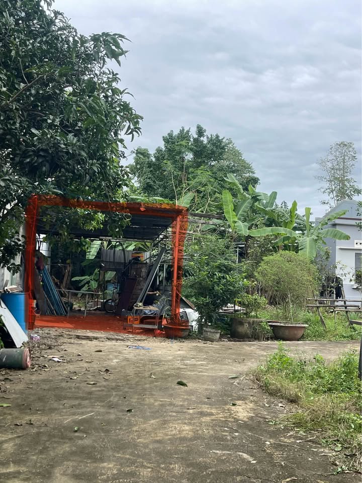 Đất nền Hòa Thọ Tây 101m² giá chỉ 1 tỷ - Đầu tư sinh lời ngay!