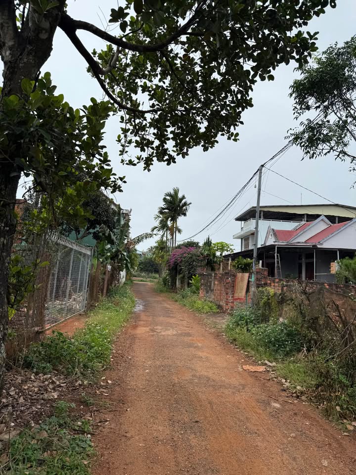 Đất nền Đăk Đoa 225m² giá 1.05 tỷ - Nở hậu, gần chợ