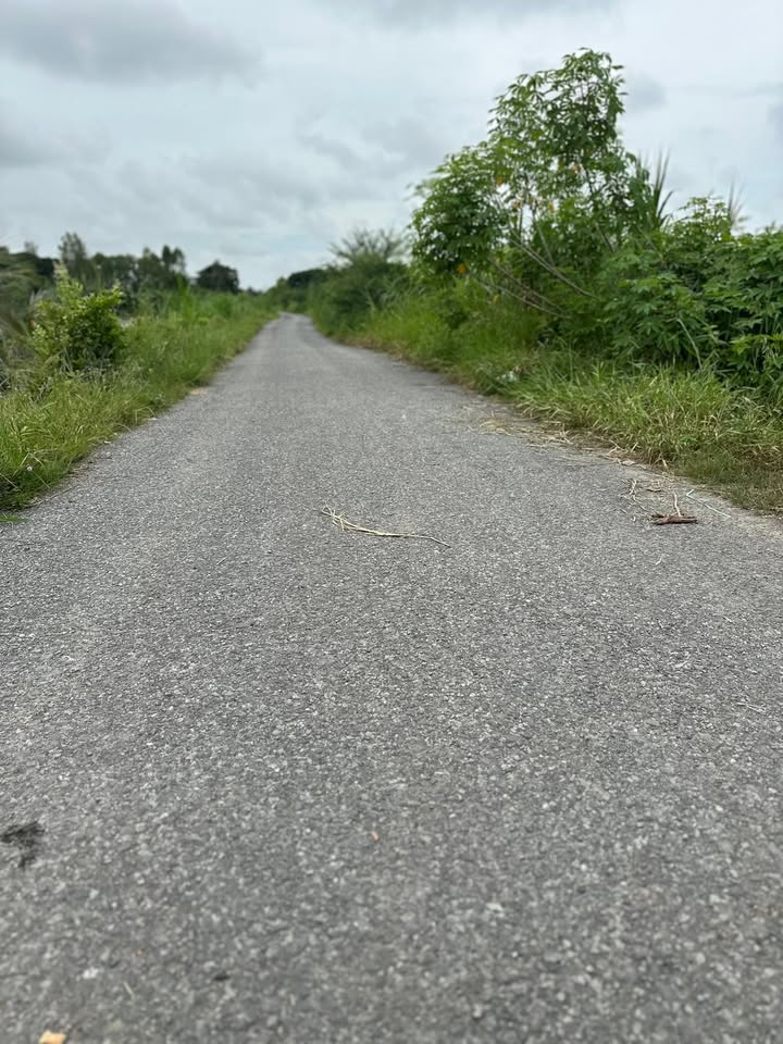 Đất nông nghiệp Tân Thành A, Tân Hồng 10.368m² giá 1.08 tỷ - Đầu tư sinh lời ngay!