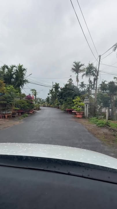 Đất mặt tiền đường Nguyễn Cư Trinh, Phường Thiện An 175m² giá 1.289 tỷ - Cơ hội đầu tư không thể bỏ qua!