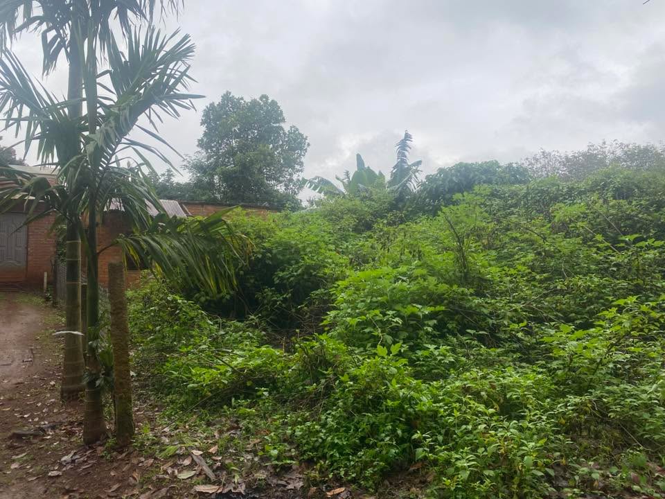 Đất nền Phú Lộc Krông Năng 200m² giá 2 tỷ - Đầu tư sinh lời ngay!