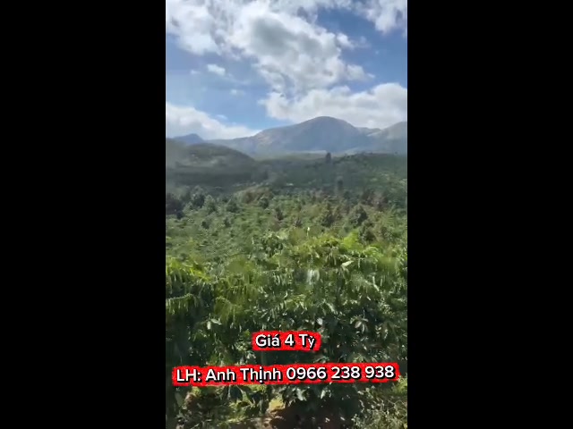 Bán Farm thôn Kon Tu Peng, xã Pô Kô, huyện Đăk Tô, Kon Tum 34.745m² giá 4 tỷ - Pháp lý rõ ràng, chính chủ!