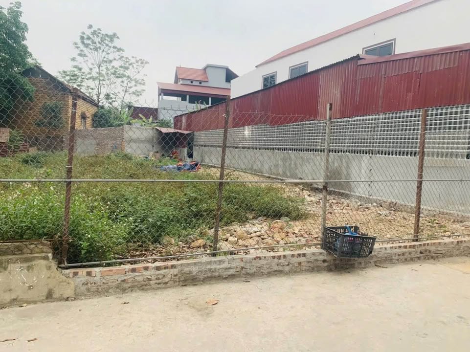 Đất nền Sơn Đồng, Ngọc Thanh 194m² giá chỉ 1 tỷ - Tiềm năng đầu tư vượt trội!