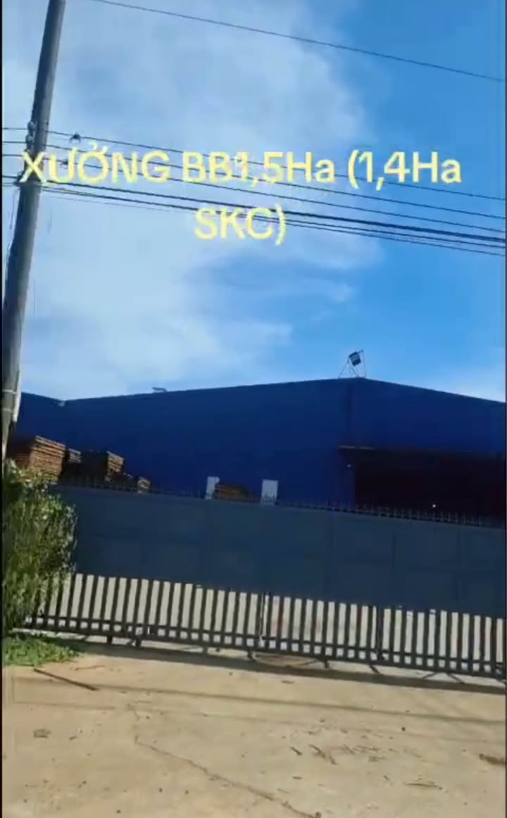 Xưởng Bàu Bàng 1,5 Hecta giá 53 tỷ - Tiềm năng sinh lời cao!