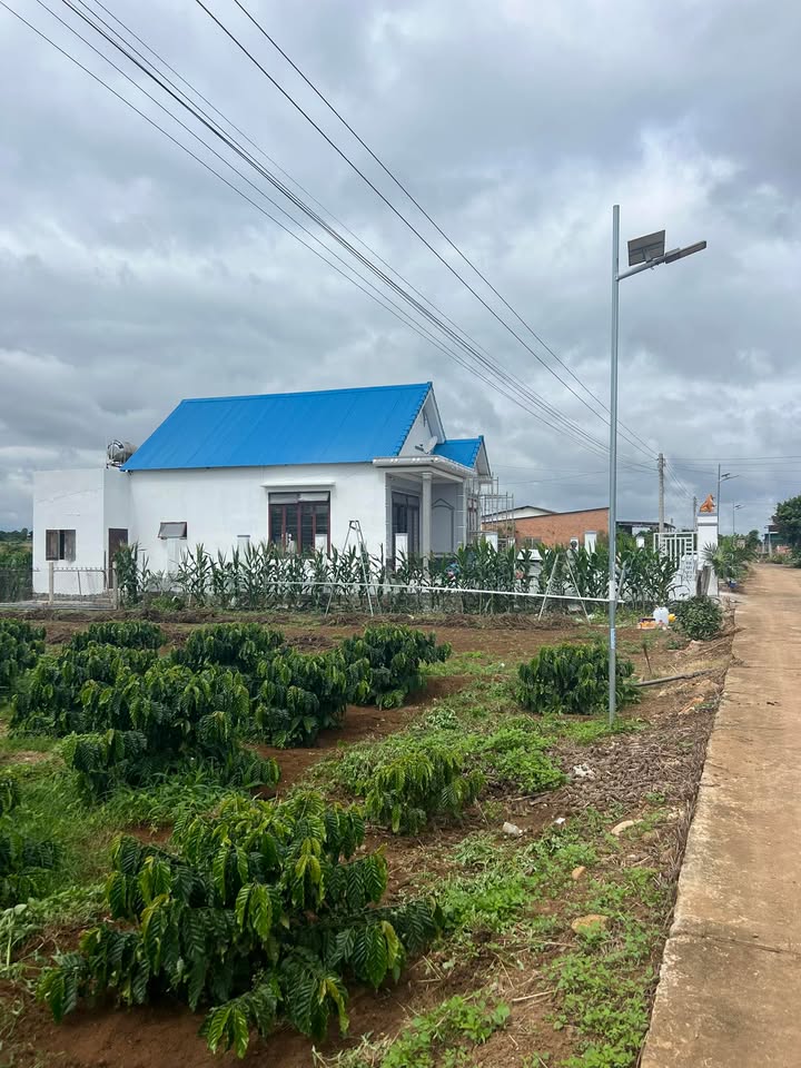 Đất nền Tân Hội 160m² giá chỉ 650 triệu - Sổ hồng chính chủ!