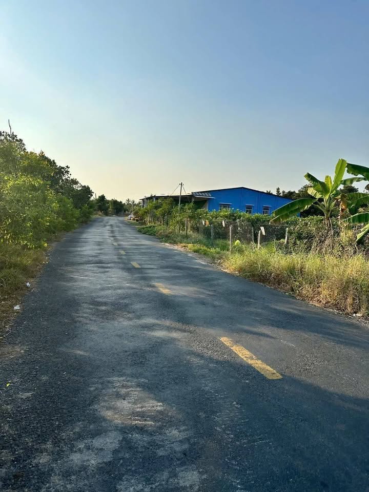 Đất thổ cư Hòa Khánh 123.78m² giá 970 triệu - Sẵn sàng cho đầu tư thông minh!