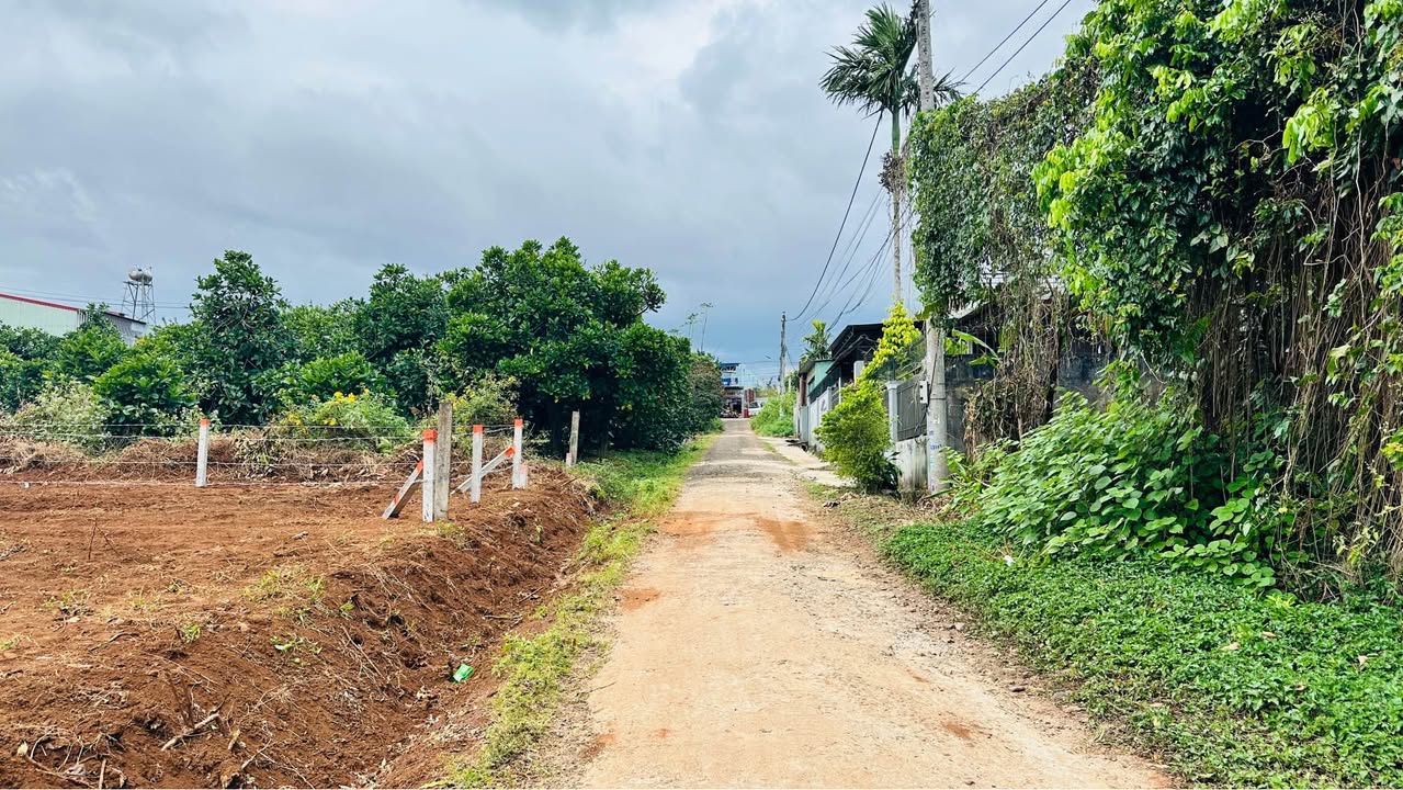 Đất thổ cư phường Hội Phú 150m² giá 1.1 tỷ - Đầu tư sinh lời ngay!