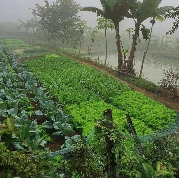 Nhà hẻm ô tô vào đường Trần Đồng, P3, Vũng Tàu, 88.5m² giá 7.4 tỷ - Hướng Tây Nam thoáng đãng!