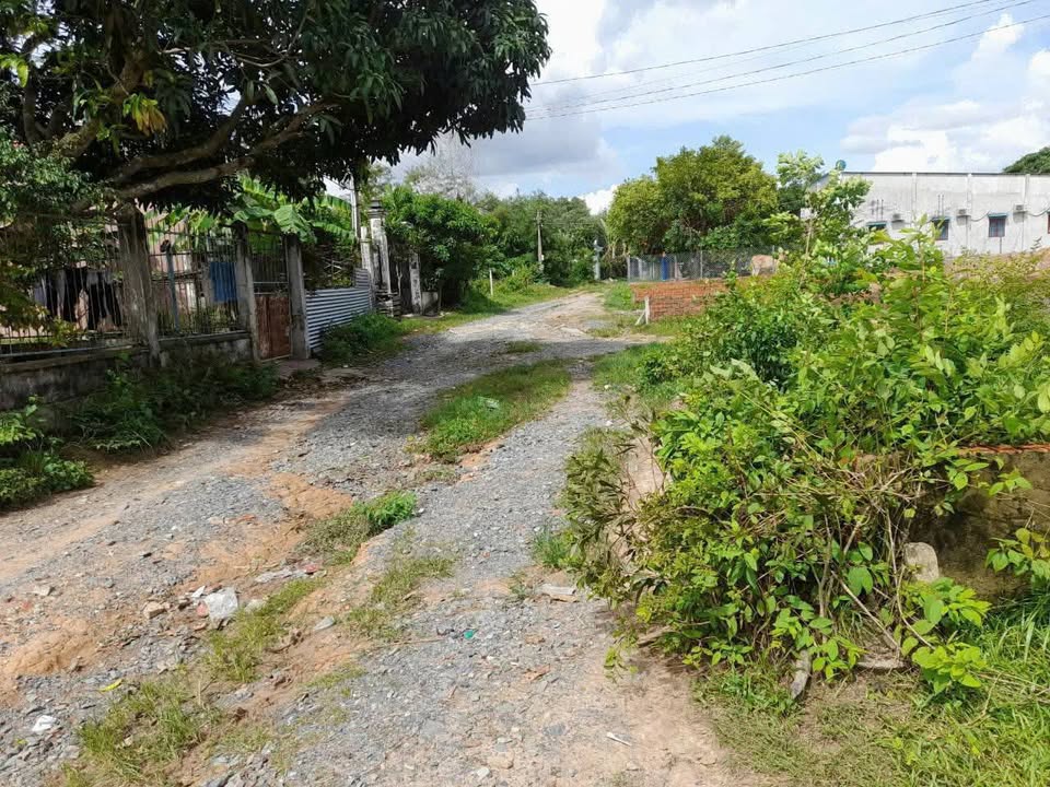 Đất mặt tiền đường Công Lý, Nhơn Trạch 206m² giá chỉ 2 tỷ - Cơ hội đầu tư tuyệt vời!